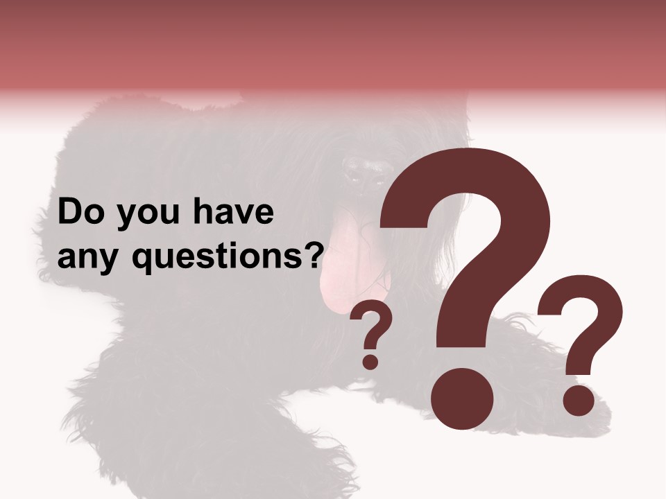 Pet Cut Out Black PowerPoint Template