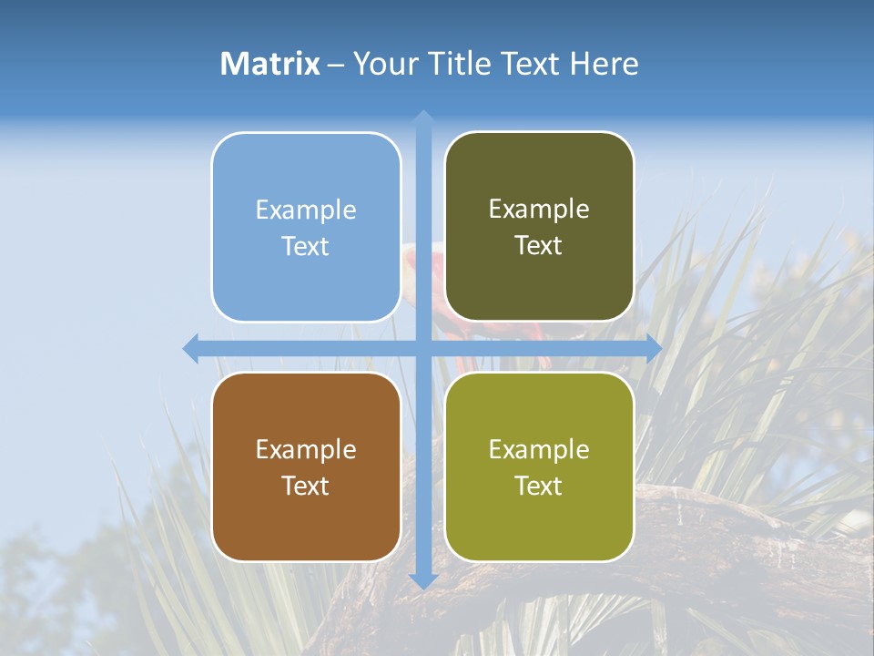 Platalea Ajaja Animal Rare PowerPoint Template