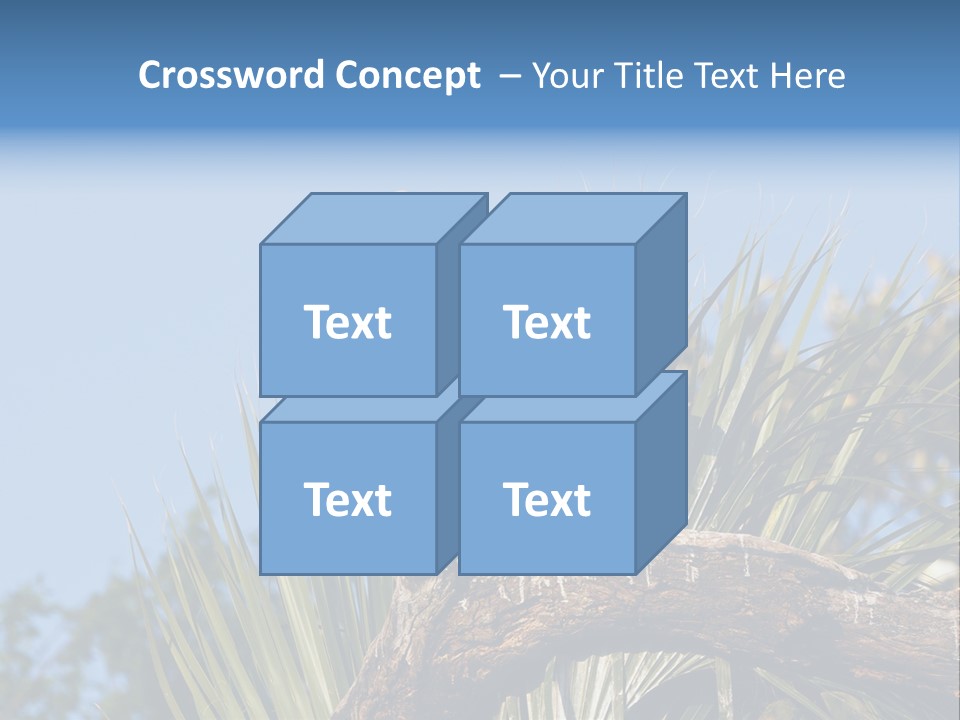 Platalea Ajaja Animal Rare PowerPoint Template