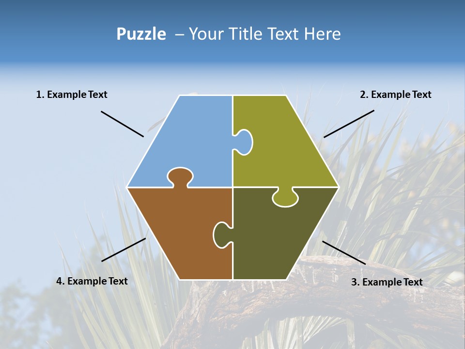 Platalea Ajaja Animal Rare PowerPoint Template