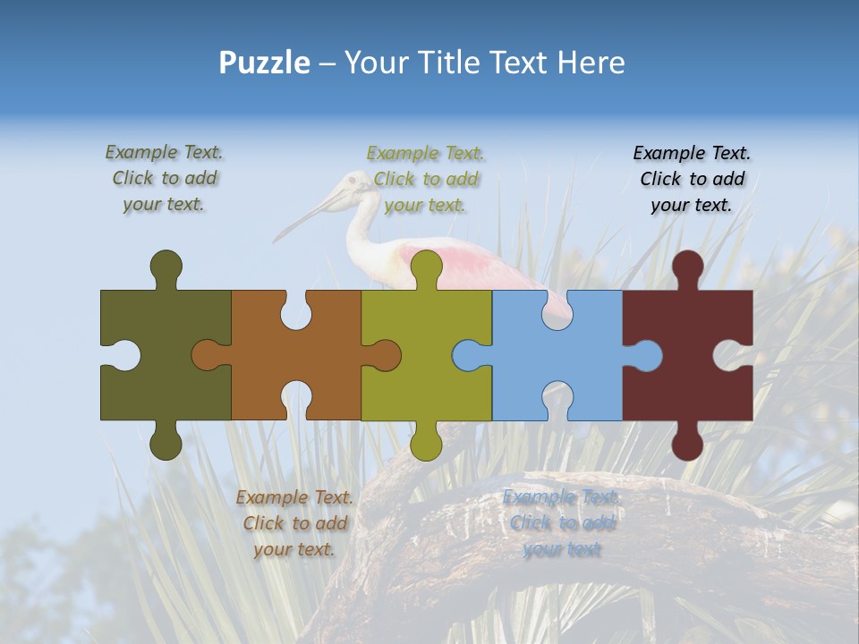 Platalea Ajaja Animal Rare PowerPoint Template