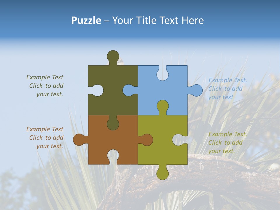 Platalea Ajaja Animal Rare PowerPoint Template