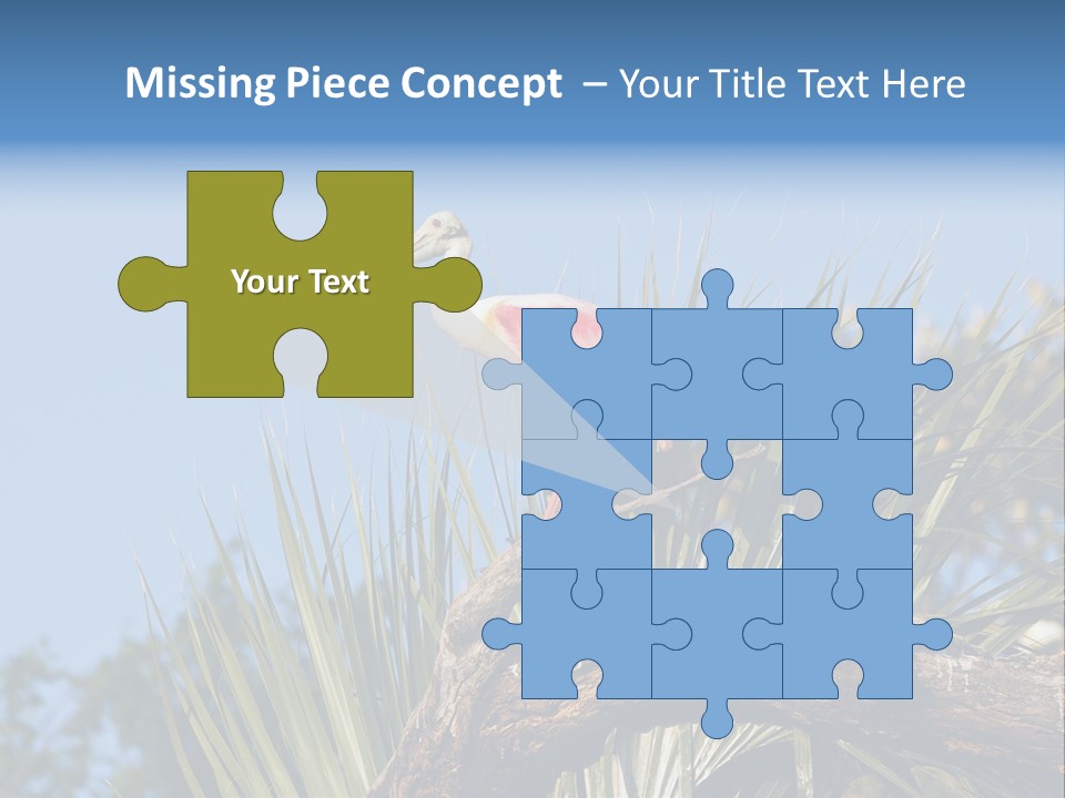 Platalea Ajaja Animal Rare PowerPoint Template