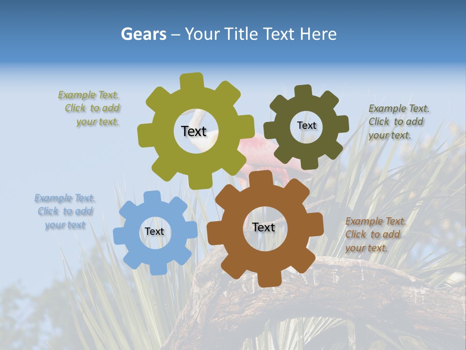 Platalea Ajaja Animal Rare PowerPoint Template