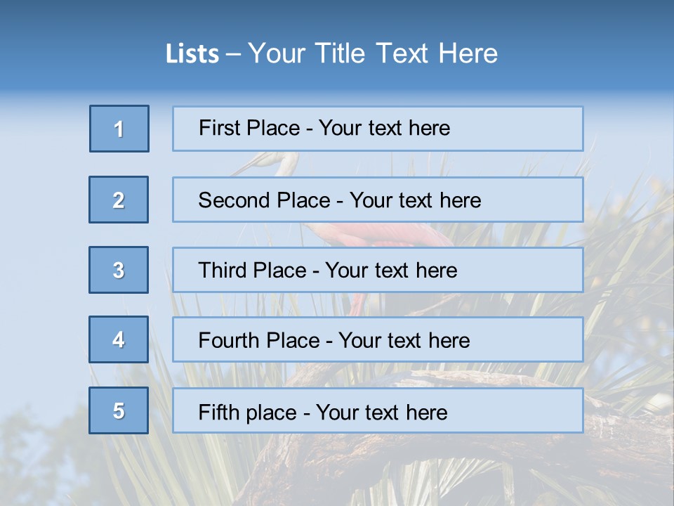 Platalea Ajaja Animal Rare PowerPoint Template