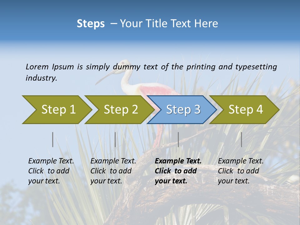 Platalea Ajaja Animal Rare PowerPoint Template
