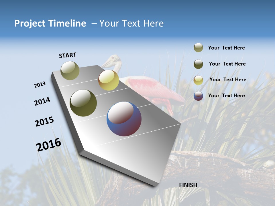 Platalea Ajaja Animal Rare PowerPoint Template