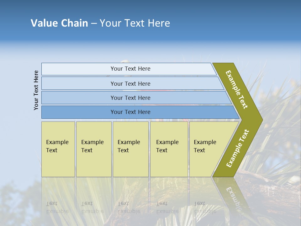 Platalea Ajaja Animal Rare PowerPoint Template