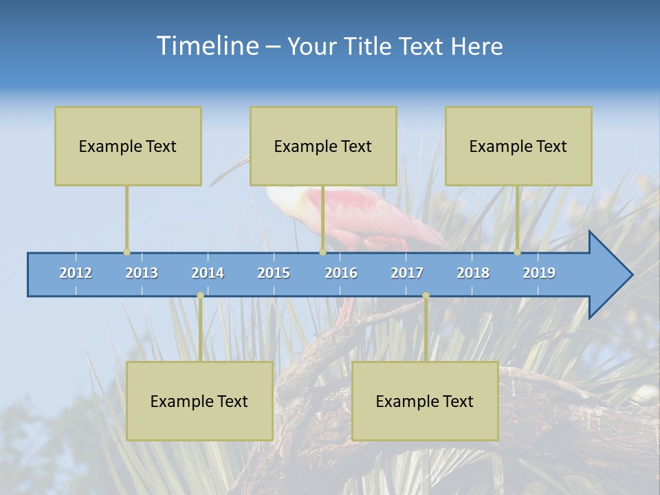 Platalea Ajaja Animal Rare PowerPoint Template