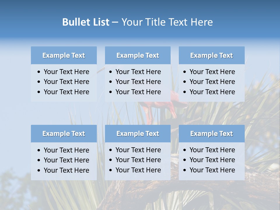 Platalea Ajaja Animal Rare PowerPoint Template