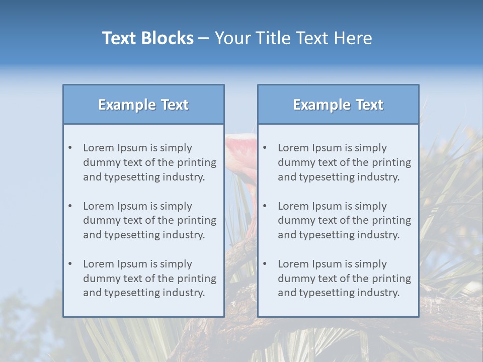 Platalea Ajaja Animal Rare PowerPoint Template