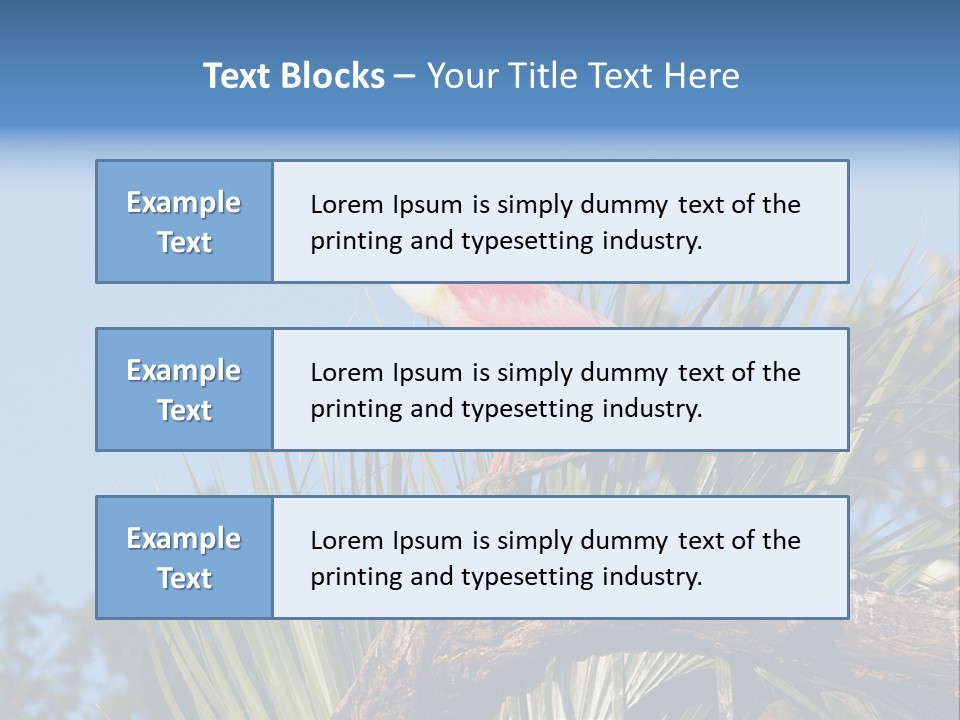 Platalea Ajaja Animal Rare PowerPoint Template