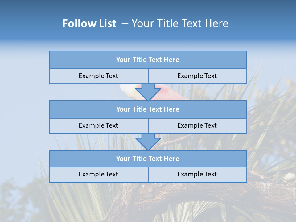 Platalea Ajaja Animal Rare PowerPoint Template