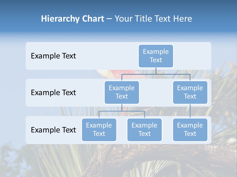 Platalea Ajaja Animal Rare PowerPoint Template