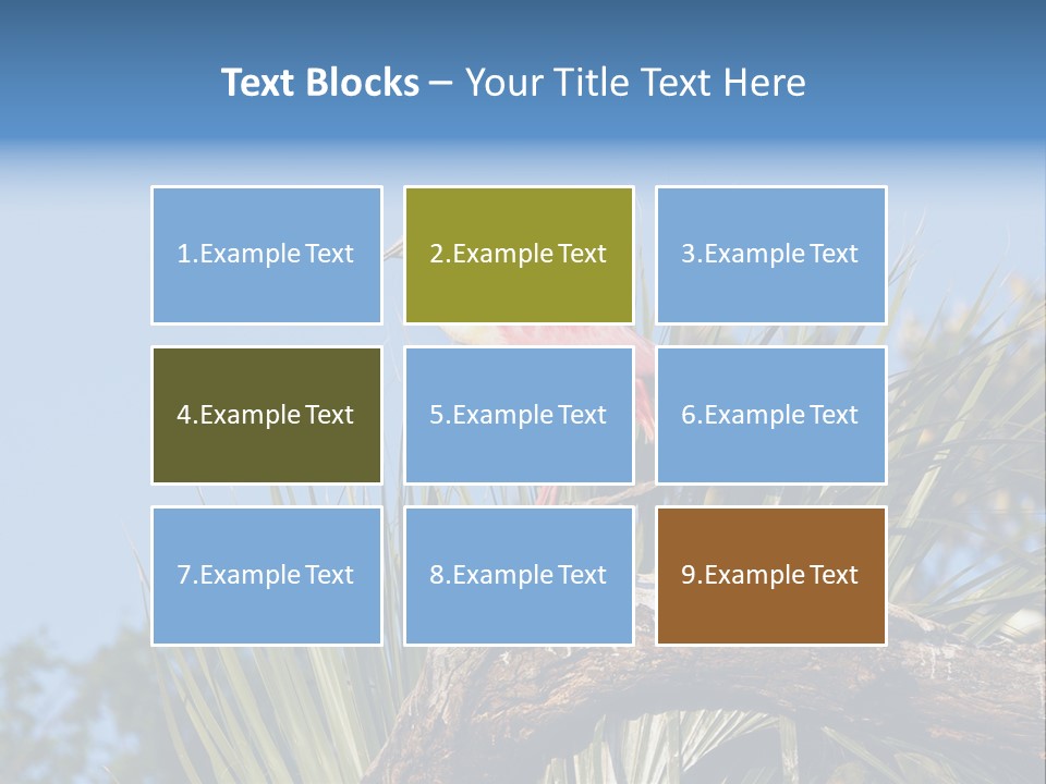 Platalea Ajaja Animal Rare PowerPoint Template