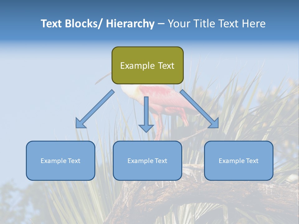 Platalea Ajaja Animal Rare PowerPoint Template