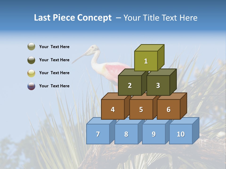 Platalea Ajaja Animal Rare PowerPoint Template