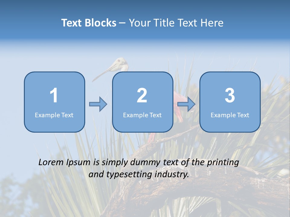Platalea Ajaja Animal Rare PowerPoint Template
