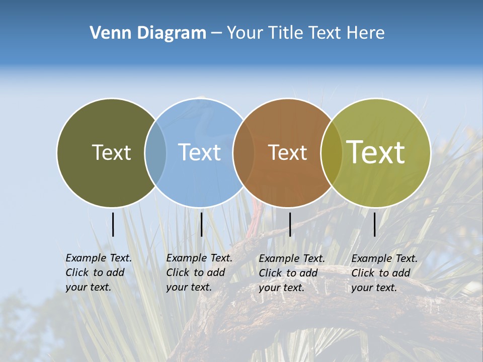 Platalea Ajaja Animal Rare PowerPoint Template