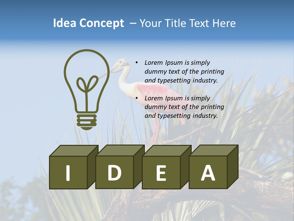 Platalea Ajaja Animal Rare PowerPoint Template