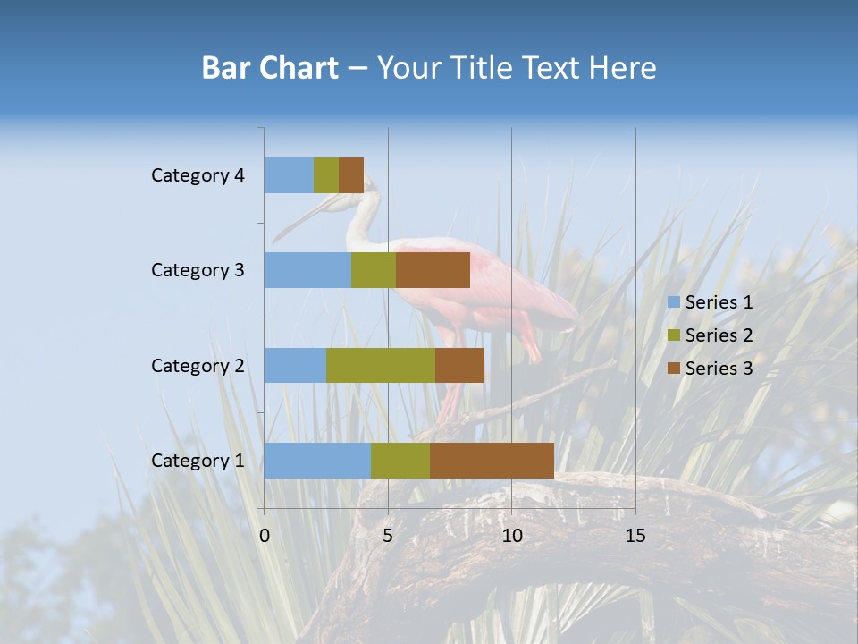 Platalea Ajaja Animal Rare PowerPoint Template