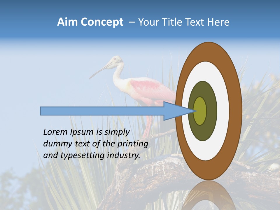 Platalea Ajaja Animal Rare PowerPoint Template