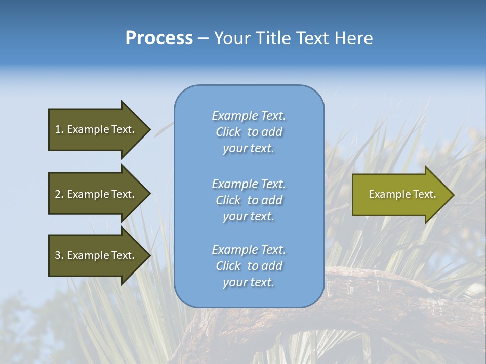 Platalea Ajaja Animal Rare PowerPoint Template