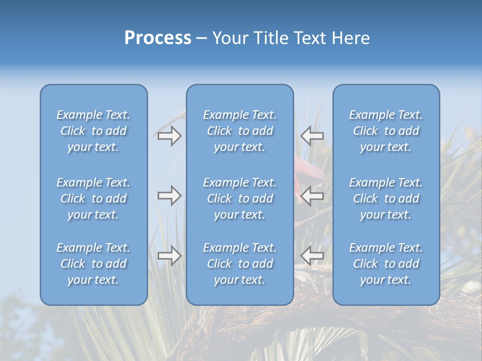 Platalea Ajaja Animal Rare PowerPoint Template