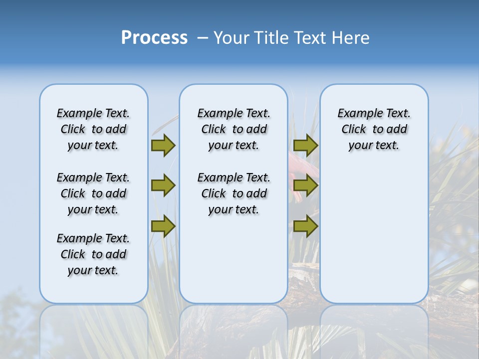 Platalea Ajaja Animal Rare PowerPoint Template