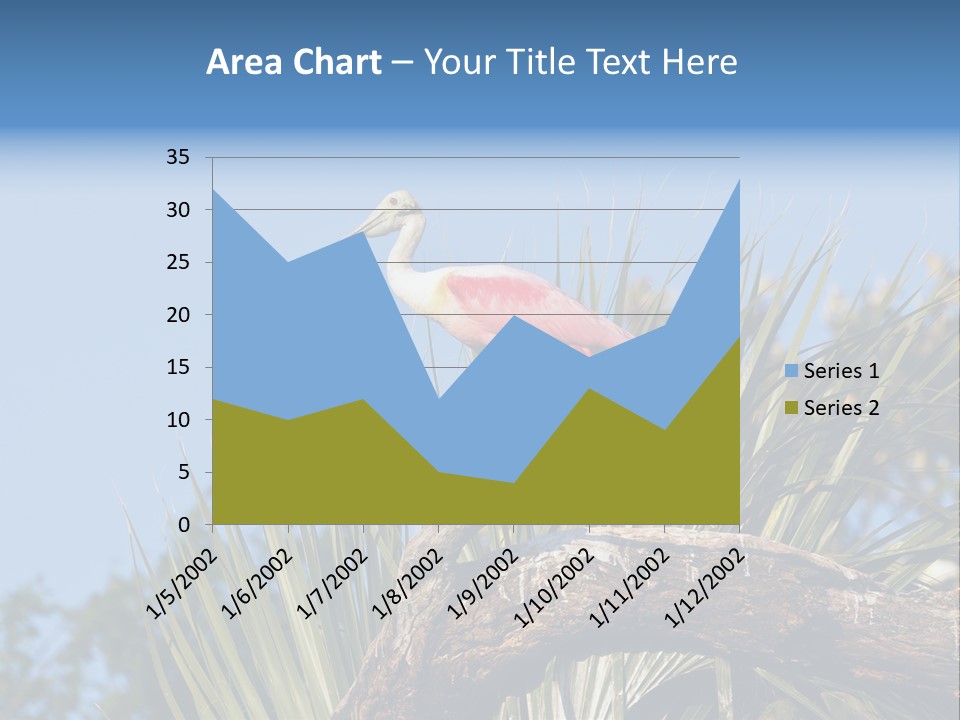 Platalea Ajaja Animal Rare PowerPoint Template
