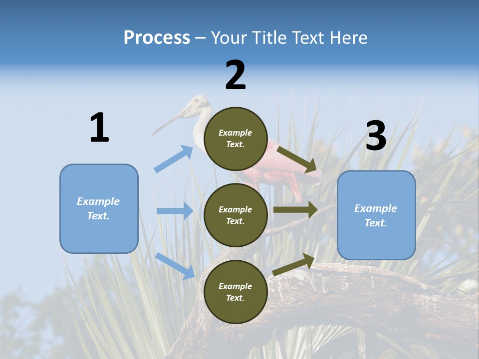 Platalea Ajaja Animal Rare PowerPoint Template