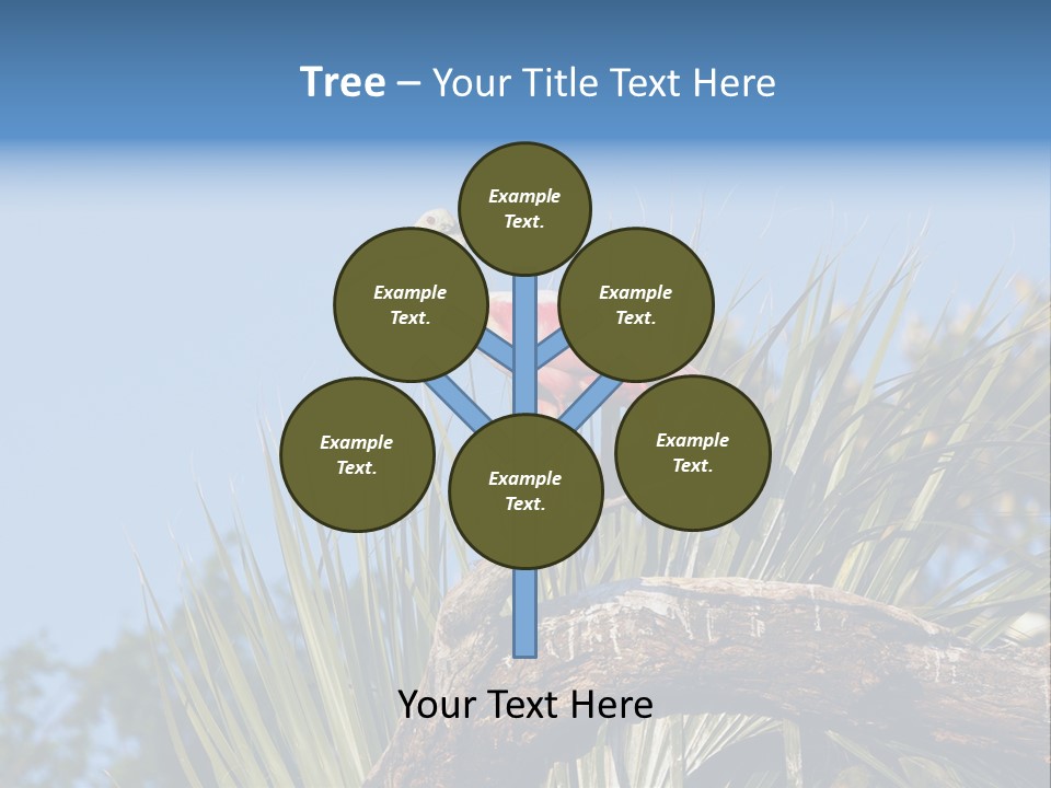 Platalea Ajaja Animal Rare PowerPoint Template