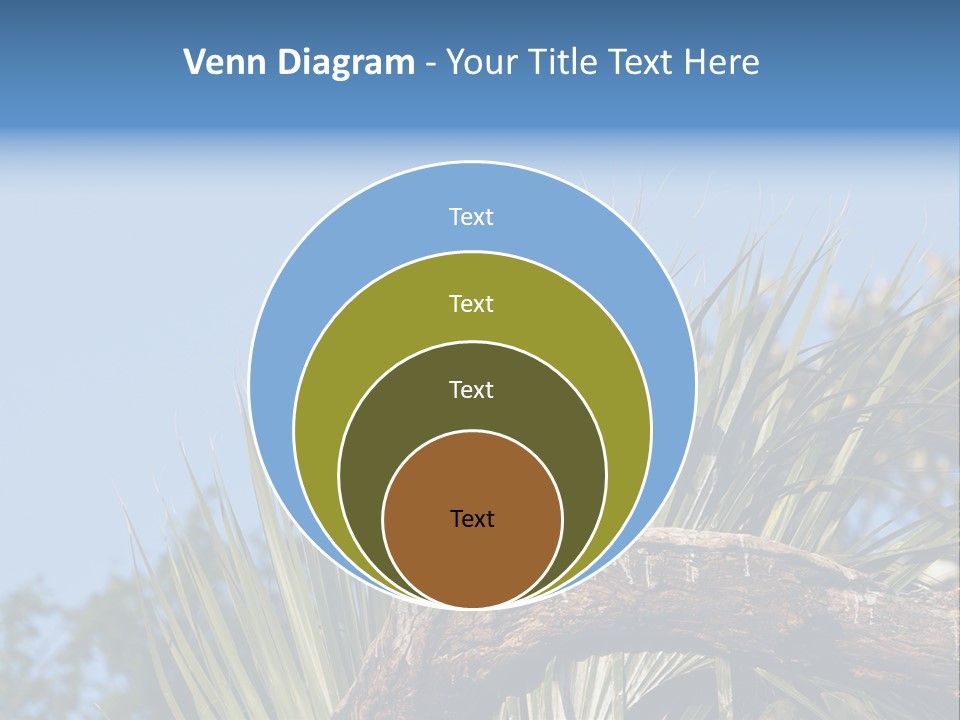 Platalea Ajaja Animal Rare PowerPoint Template