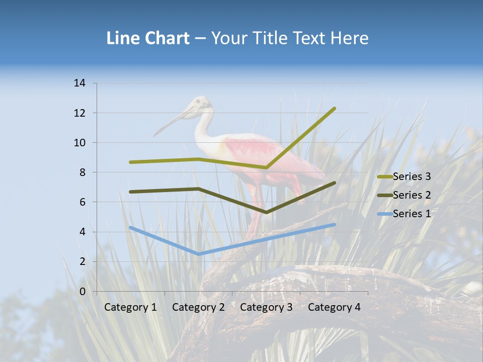 Platalea Ajaja Animal Rare PowerPoint Template