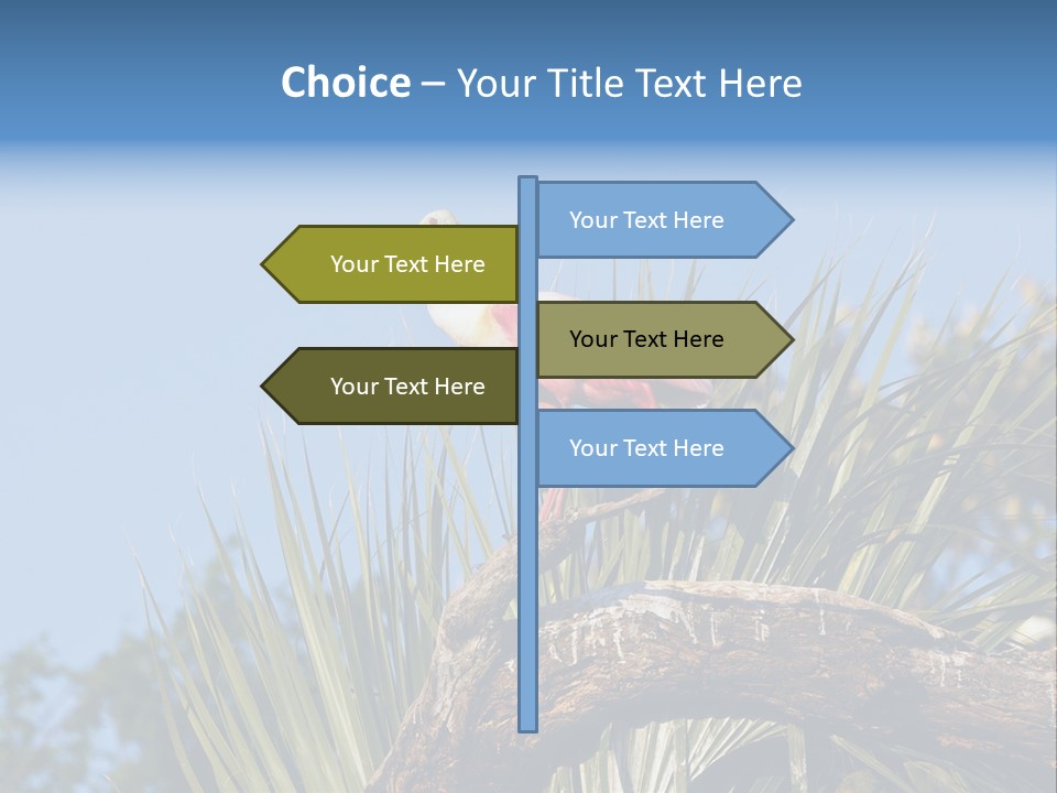 Platalea Ajaja Animal Rare PowerPoint Template