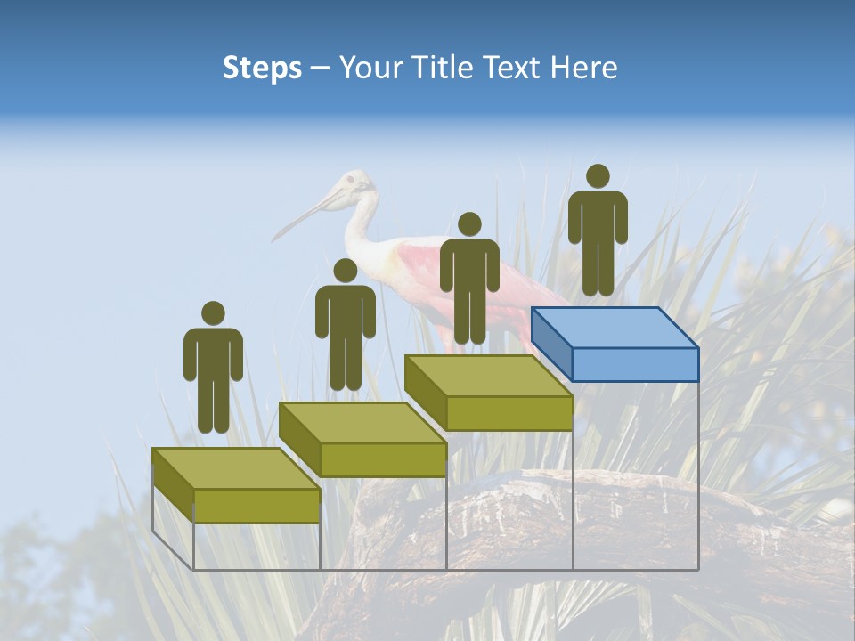 Platalea Ajaja Animal Rare PowerPoint Template