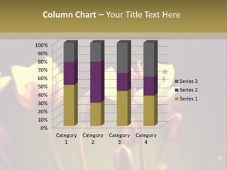 Pattern Design Nature PowerPoint Template