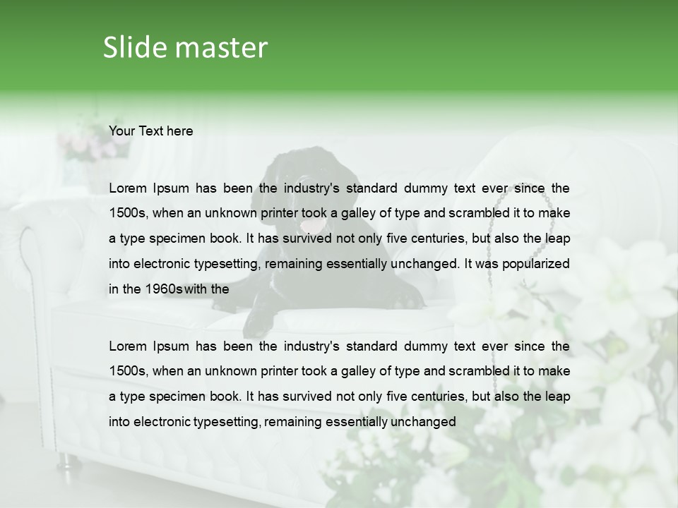 A Black Dog Is Sitting On A White Couch PowerPoint Template