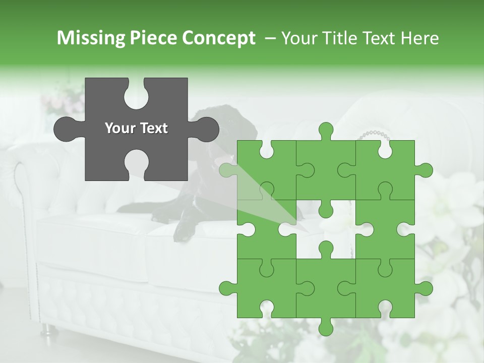 A Black Dog Is Sitting On A White Couch PowerPoint Template