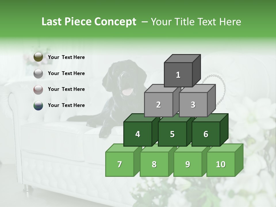 A Black Dog Is Sitting On A White Couch PowerPoint Template