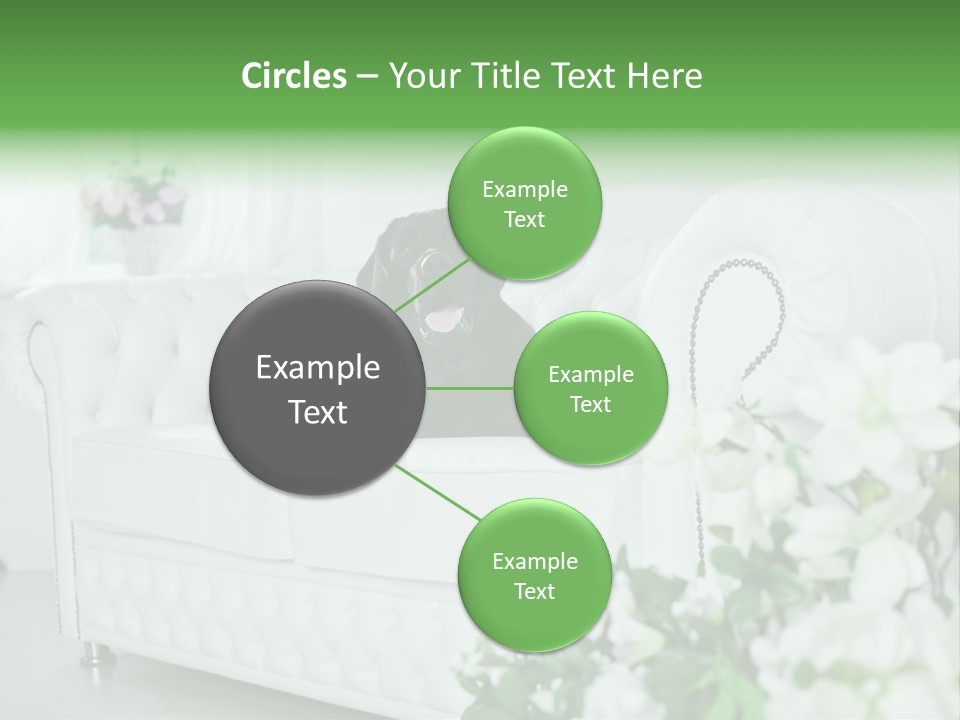 A Black Dog Is Sitting On A White Couch PowerPoint Template