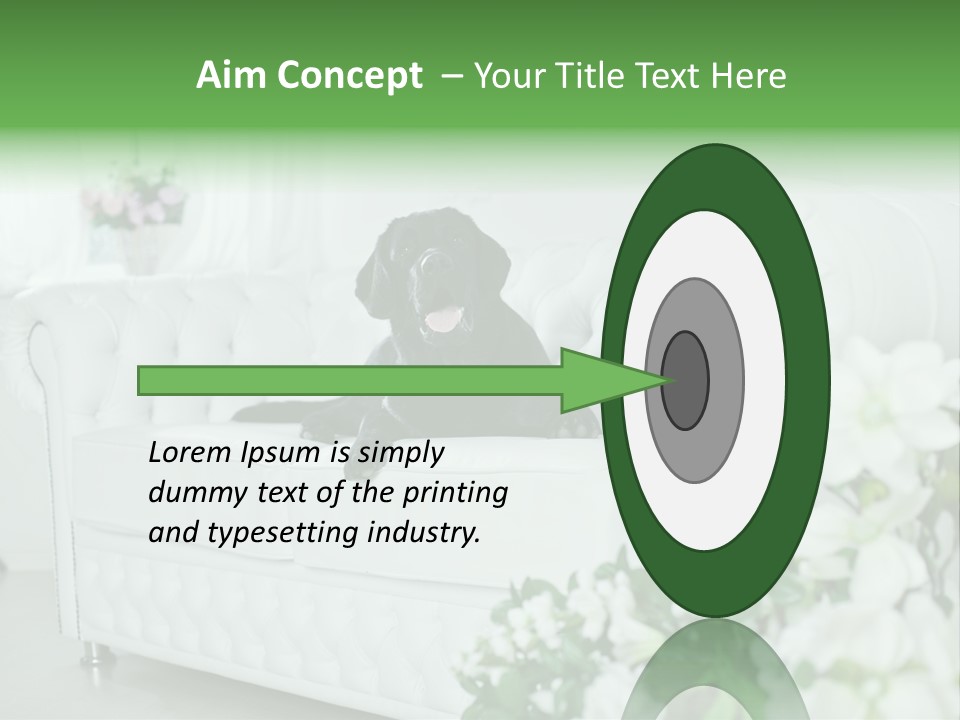 A Black Dog Is Sitting On A White Couch PowerPoint Template