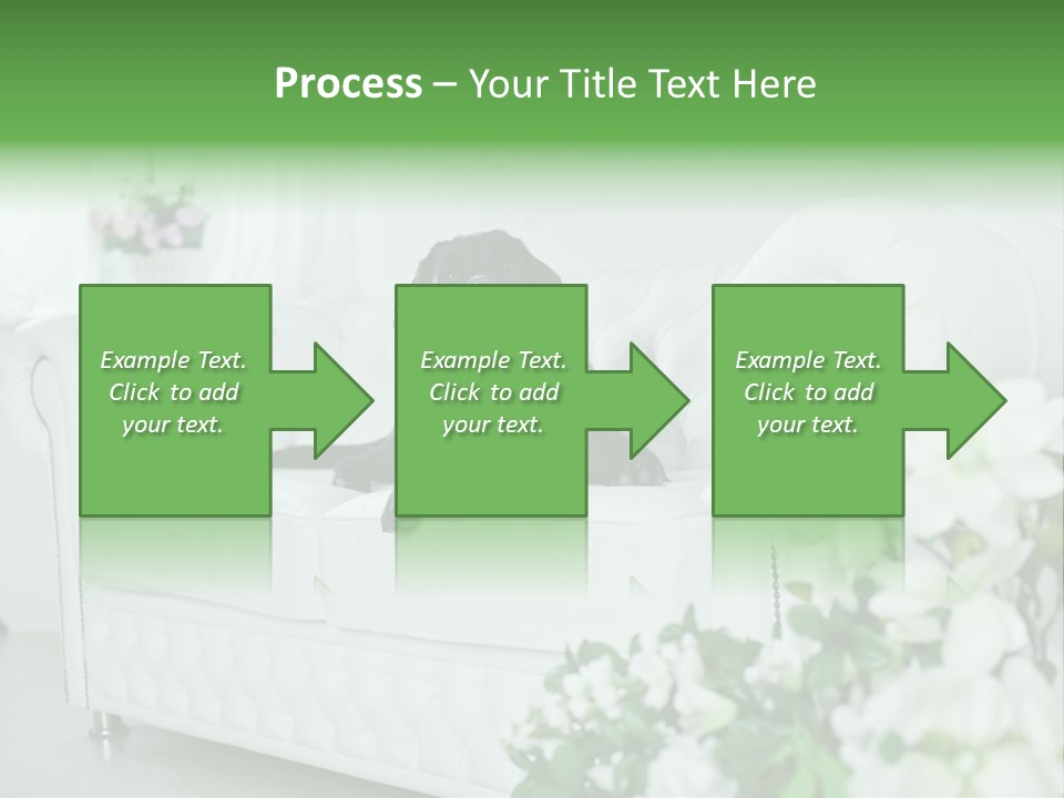A Black Dog Is Sitting On A White Couch PowerPoint Template