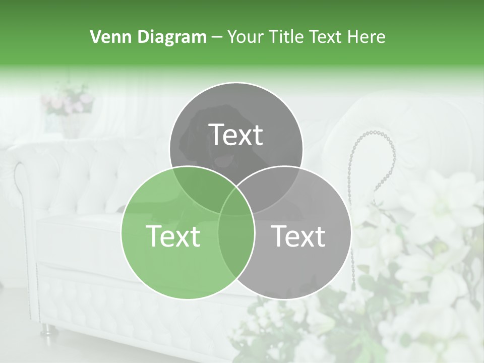 A Black Dog Is Sitting On A White Couch PowerPoint Template