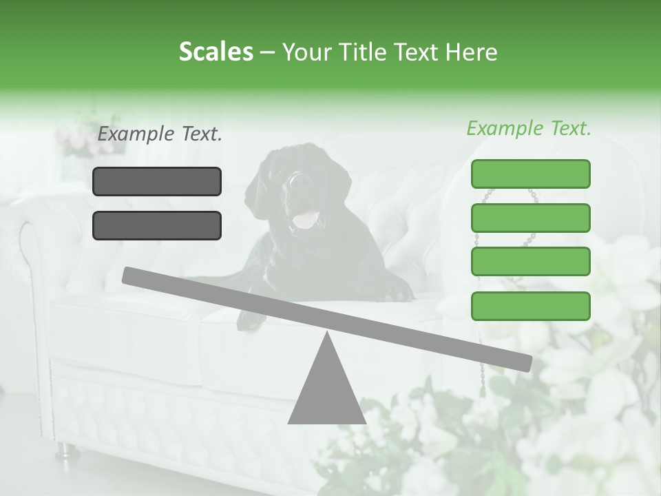 A Black Dog Is Sitting On A White Couch PowerPoint Template
