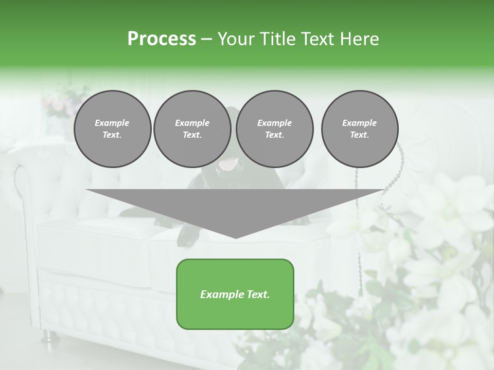 A Black Dog Is Sitting On A White Couch PowerPoint Template