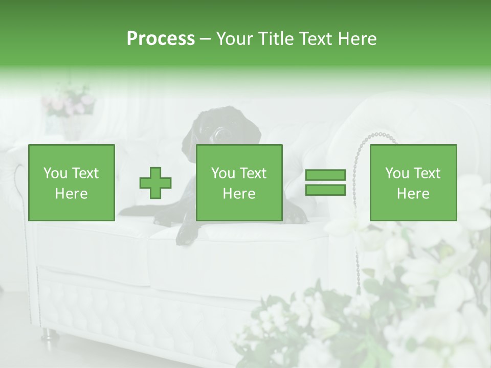 A Black Dog Is Sitting On A White Couch PowerPoint Template