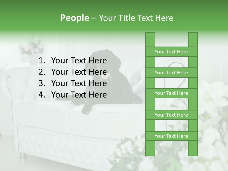 A Black Dog Is Sitting On A White Couch PowerPoint Template