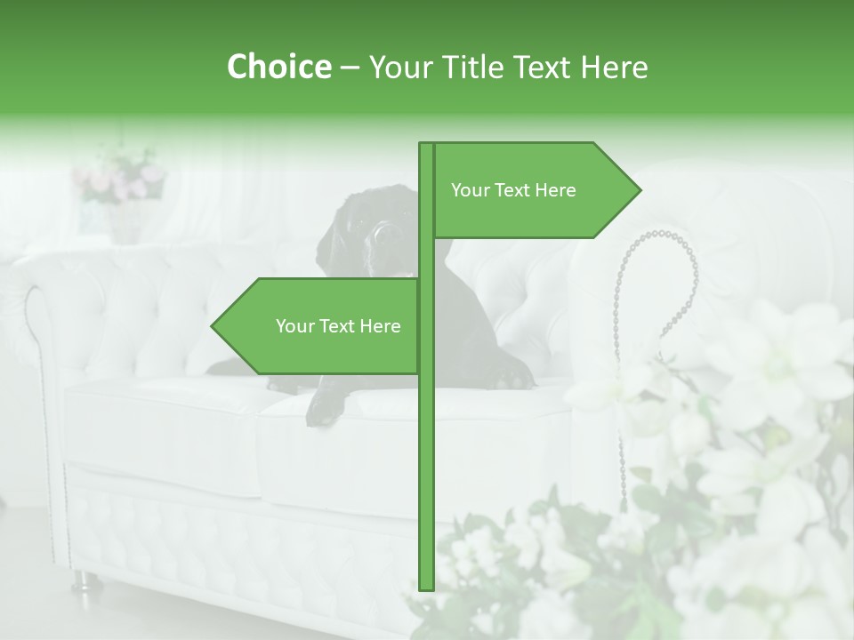 A Black Dog Is Sitting On A White Couch PowerPoint Template