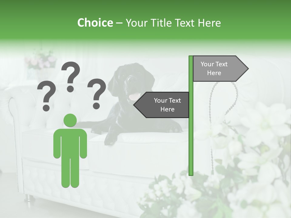 A Black Dog Is Sitting On A White Couch PowerPoint Template